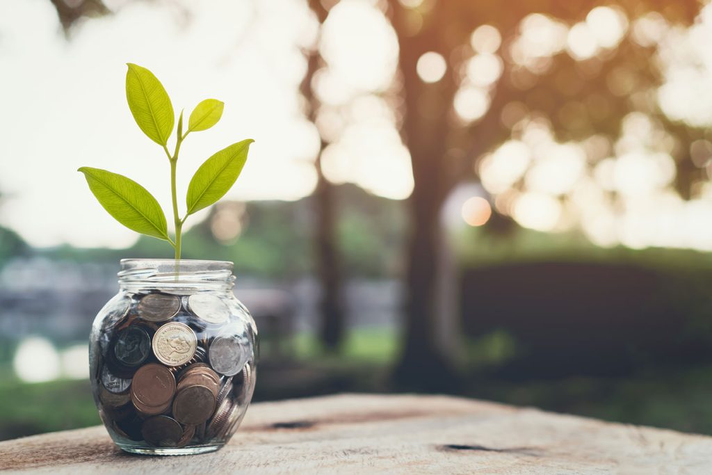 L’investissement durable : plus qu’une « mode verte » | Article de blogue de Kaleido