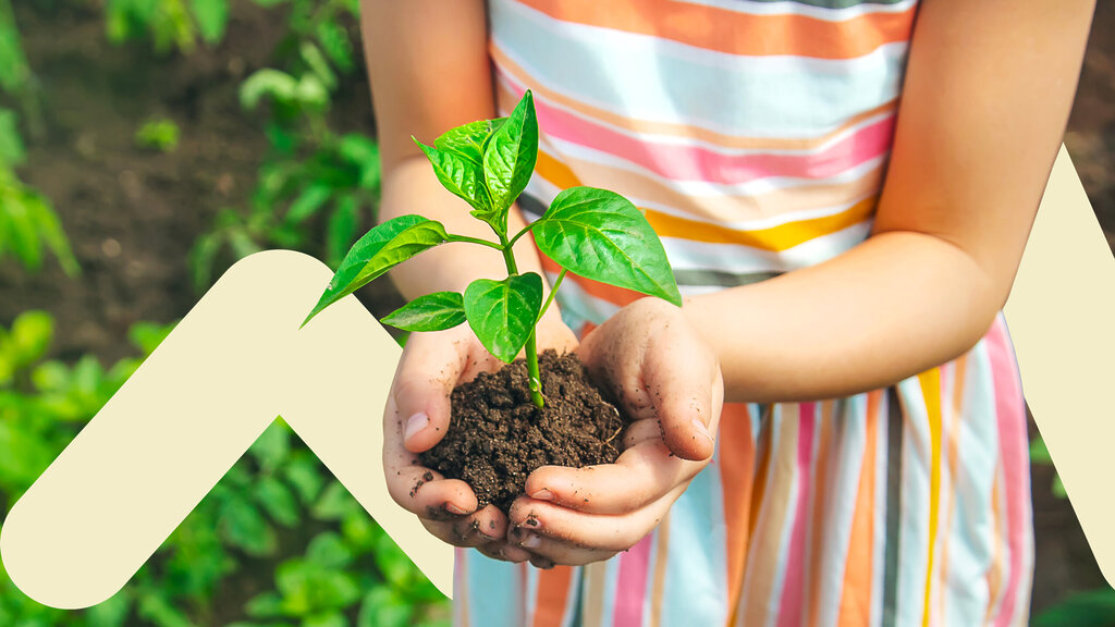 Mains avec plante