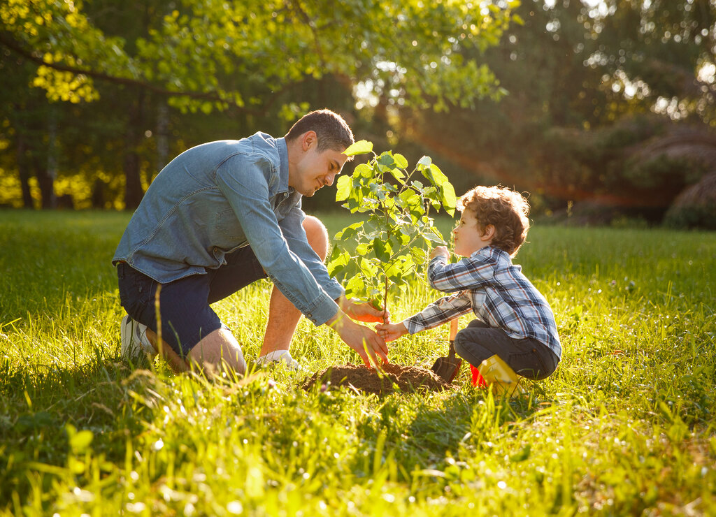 Parent et enfant plantant un arbre