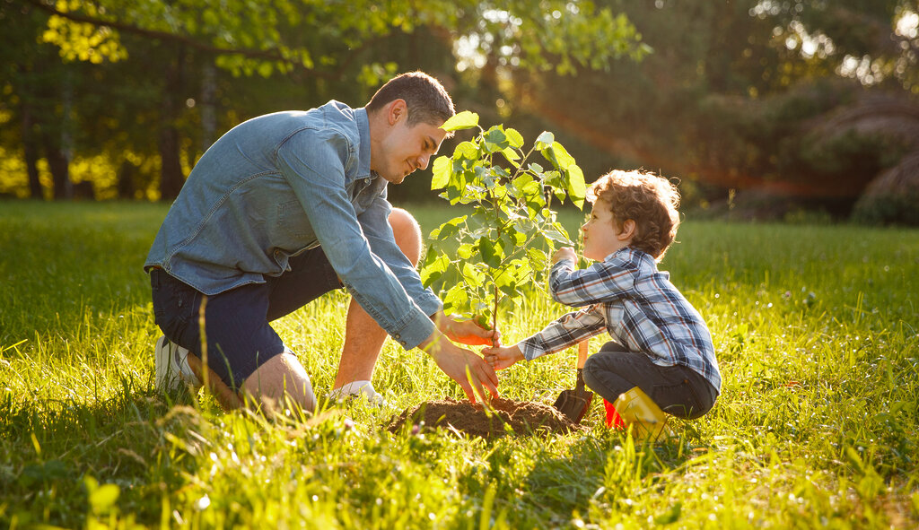 Parent et enfant plantant un arbre