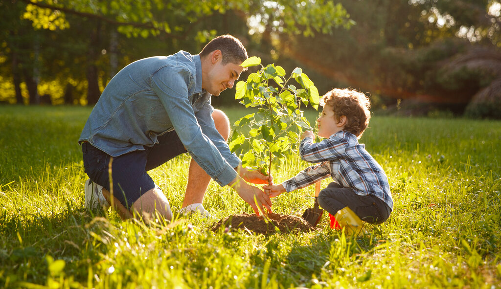 Parent et enfant plantant un arbre
