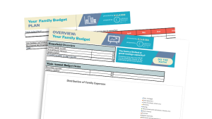 Your Family Budget: Customizable Tool